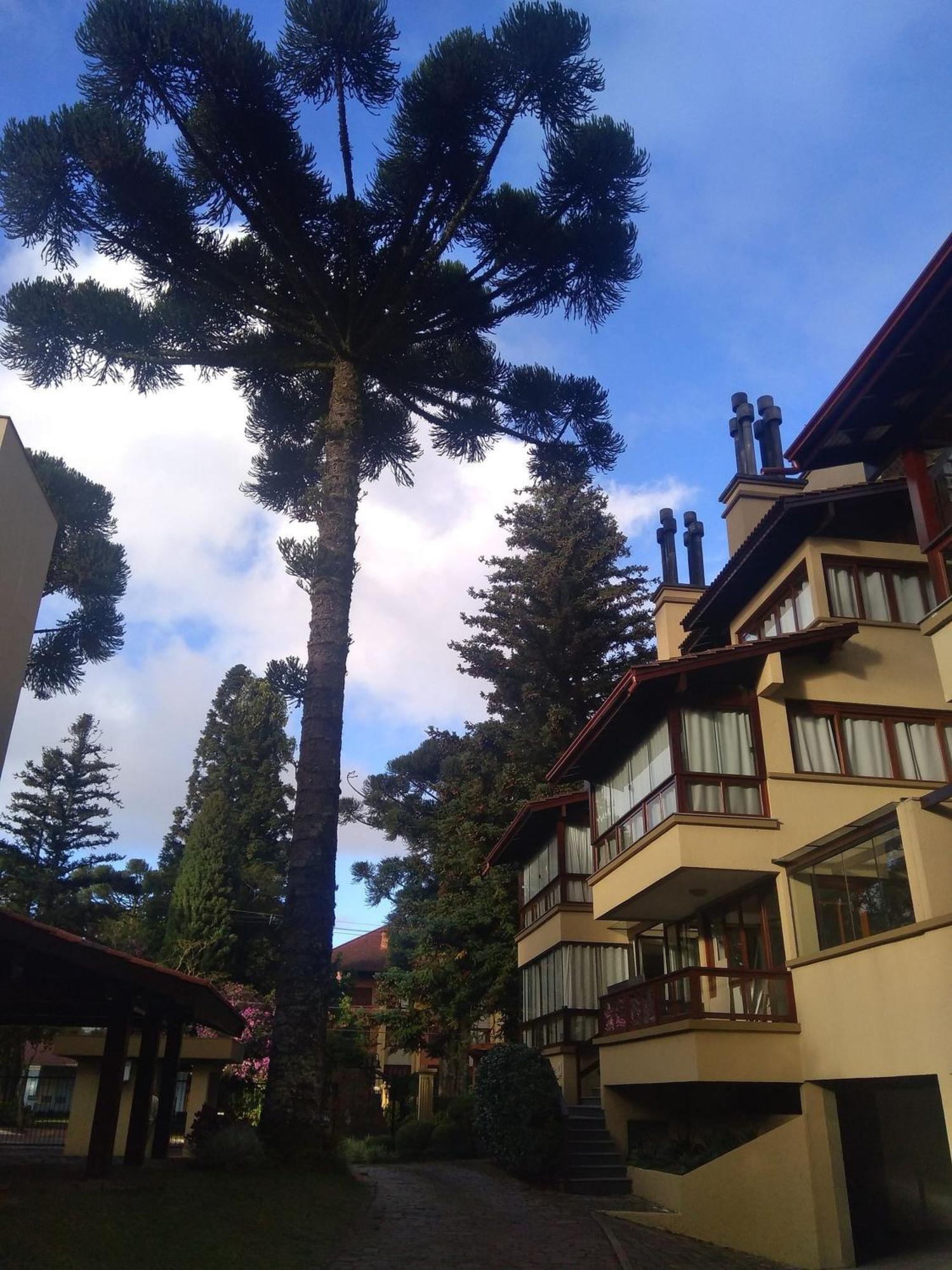 Estacao Das Hortensias, Seu Aconchego Em Gramado Apartment Exterior photo